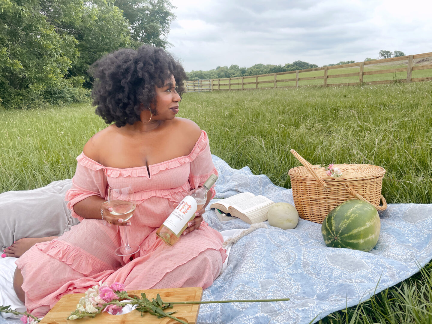 matanzas creek sauvignon blanc review, wineries in Sonoma County California, best sonoma county wineries to visit