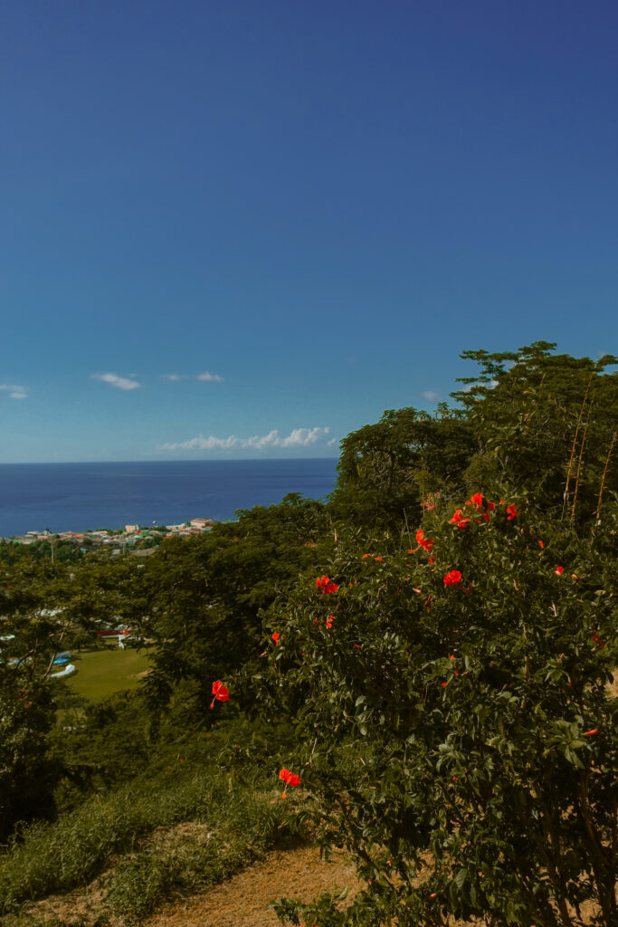 World Creole Music Festival 2022, Discover Dominica, Visit Dominica, Dominica Festivals, Travel Blogger, Coco Bates, Popular Travel Bloggers, Black Travel Bloggers, Black Travel Influencers, Trafalgar Falls, Things to do in Dominica, What to do in Dominica, Visiting Dominica, Hotels in Dominica, Fort Young Hotel in Dominica, Where To Stay in Dominica