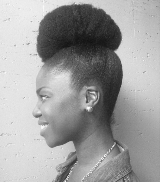 Natural Hair Updo, Hairstyles for natural hair, hairstyles for naturally curly hair, black updo hairstyles, updo hairstyles for black hair, updo hairstyles for natural hair, natural updo hairstyles, natural hair hairstyles, natural curly hairstyles, natural hairstyle updo, protective hairstyles for black women, protective hairstyles for natural black hair, protective natural hairstyle, easy protective styles for natural hair, easy protective styles, easy protective hairstyles, Tamika Fletcher, Natural Hair Blogger, Natural Hair Bloggers, Black Bloggers, Houston Bloggers, Natural Resources Hair Salon