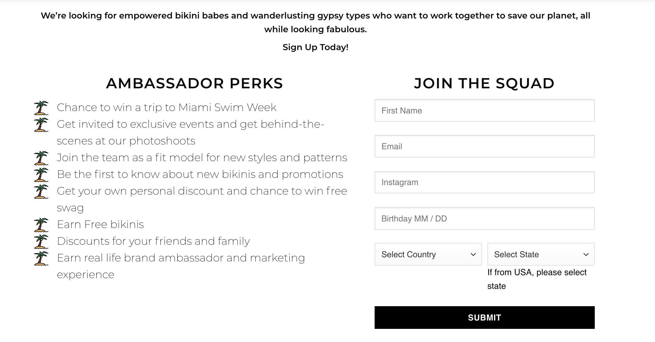 how to gain brand ambassadors for your business, how to get brand ambassadors for your business, how to find brand ambassadors, how to have influencers with no budget, starting a brand ambassador program from scratch